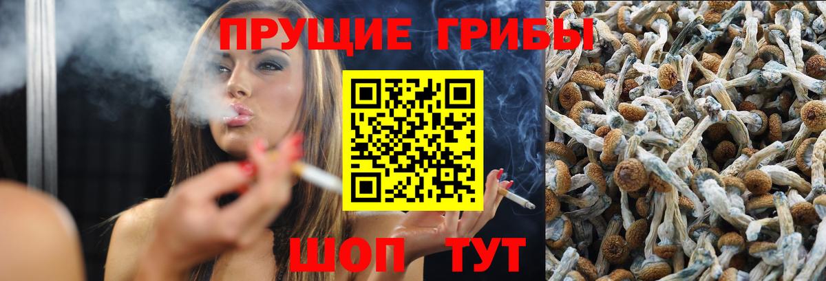 Псилоцибиновые грибы MAGIC MUSHROOMS Обь